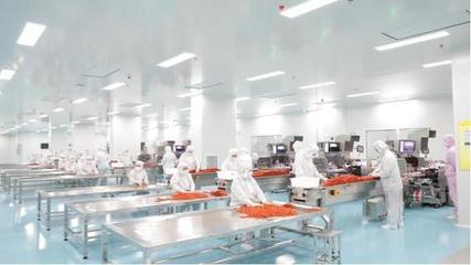 年產10億包，湖南投產超大制藥級辣條車間背后的生物科技革新