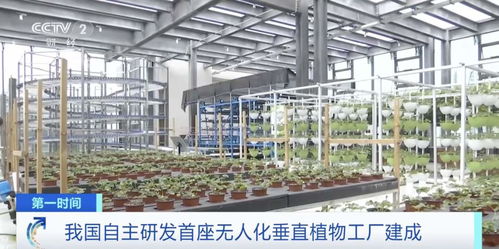世界初！中國獨(dú)自開発の自動化垂直植物工場、生物技術(shù)普及サービスを牽引